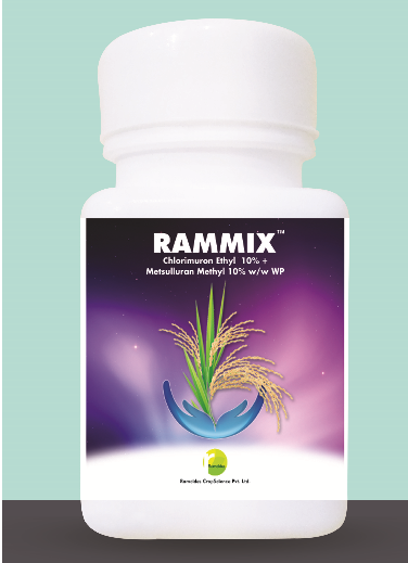 Rammix1